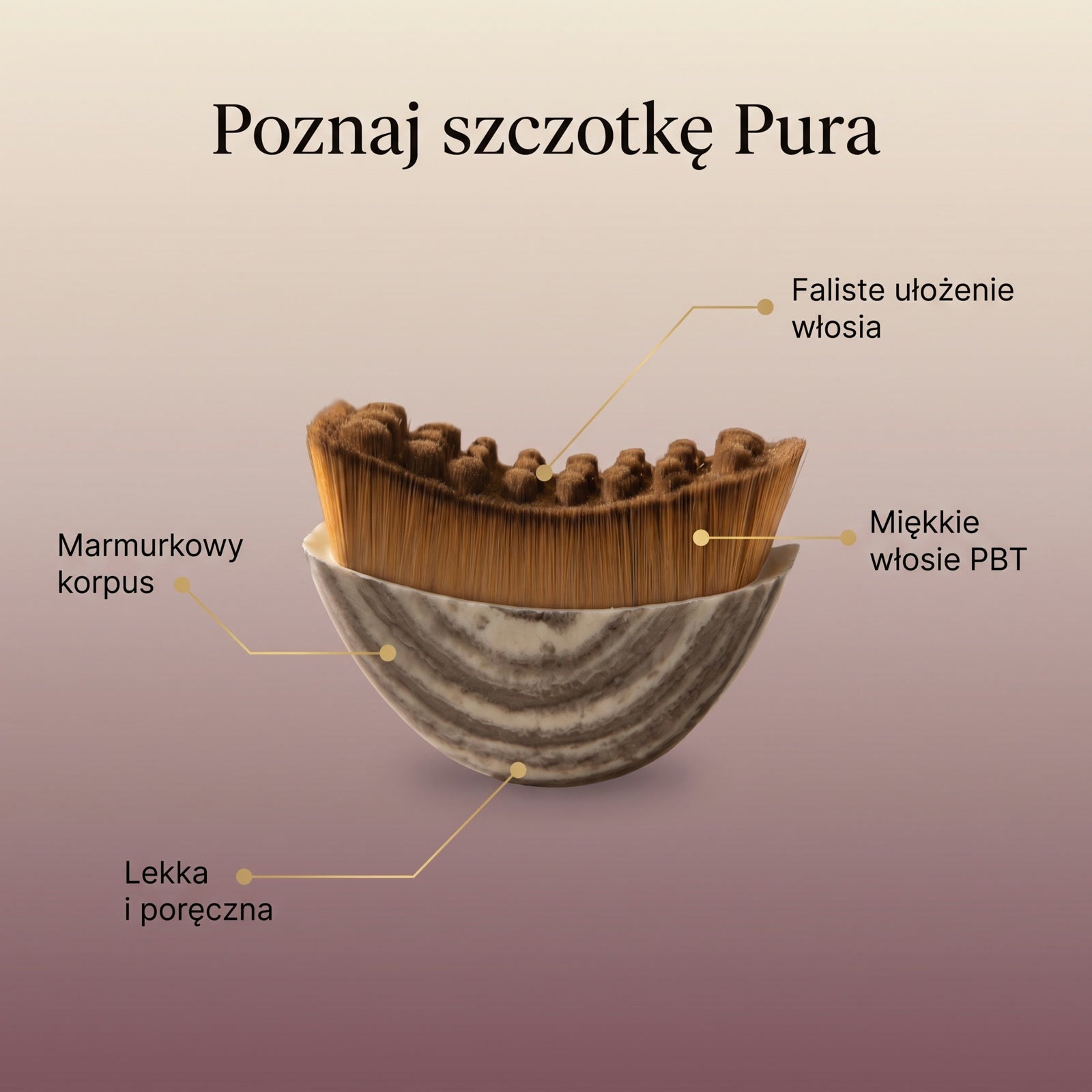Cechy szczotki Pura